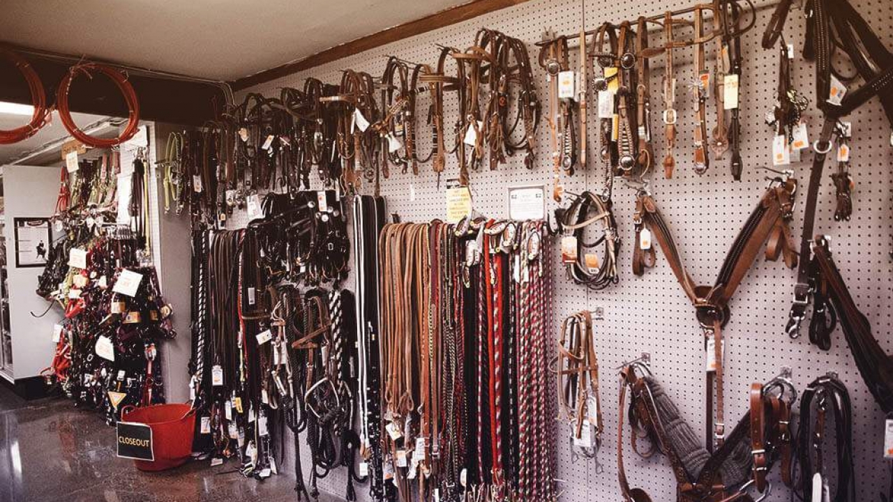 horse accessories store