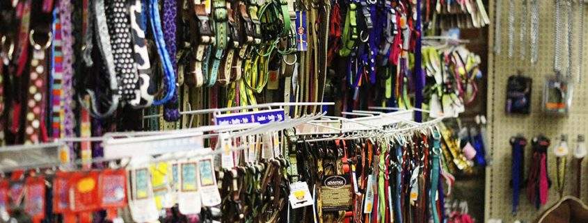 Pet Collars and Leashes