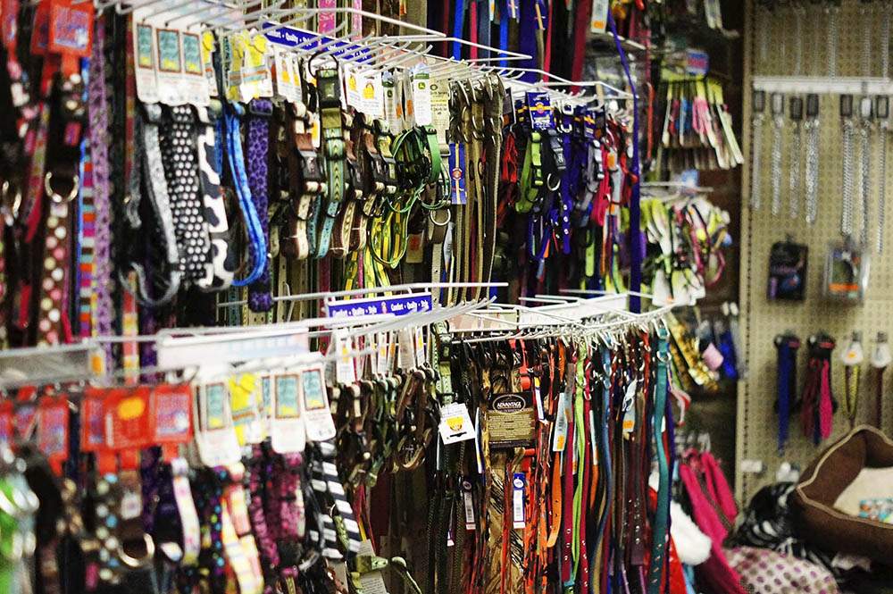 Pet Collars and Leashes