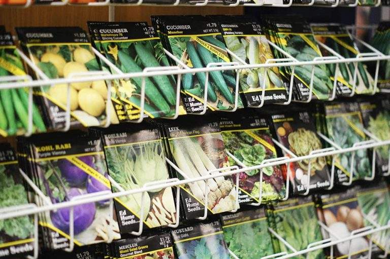 Lawn and Garden Supplies Burns Feed Store Gresham Damascus Sandy