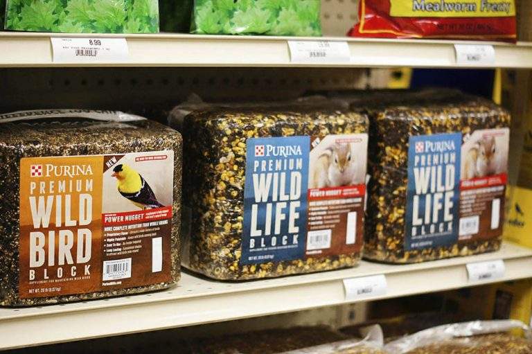 Wild Birds & Wildlife Burns Feed Store