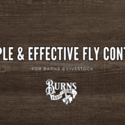 Summer Fly Control Tips for Horses, Livestock, and Barns – Burns Feed Store Gresham