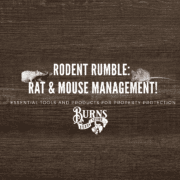Blog Banners(37)