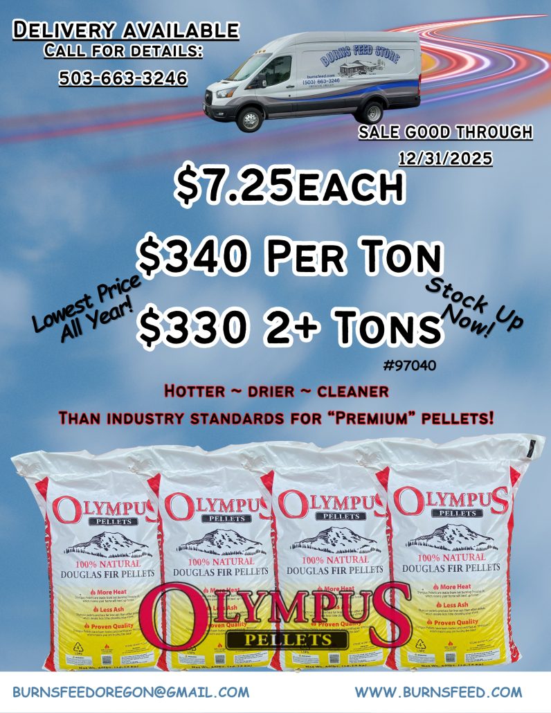 End Of Month FlyerBlogs(31)